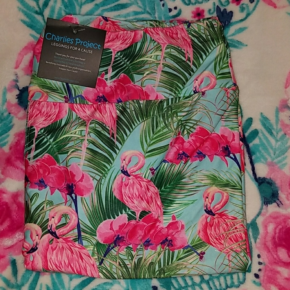 Charlie's project leggings size TC Capri flamingos